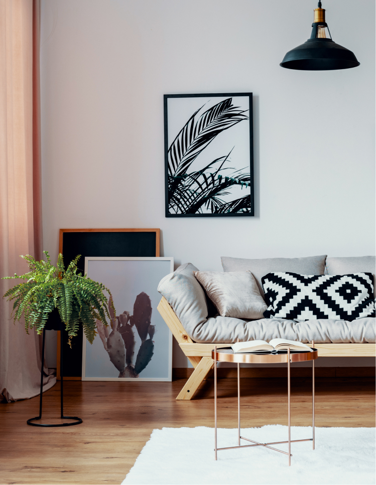 Living room futon with hardwood flooring and area rug